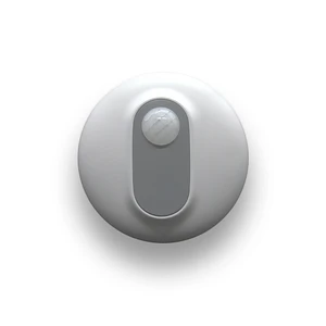 Motion Sensor